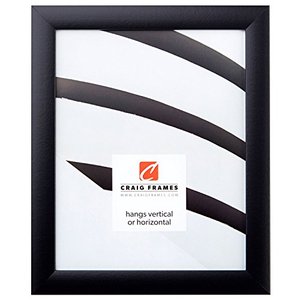 lot 39255 image: Craig Frames 1WB3BK 16 by 20 Inch Picture Frame, Smooth Wrap Finish, 1 Inch Wide, Black