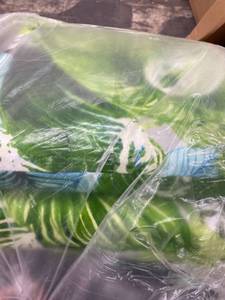 lot 62805 image: GREEN OUTDOOR TROPICAL LEAF SEAT CUSHION