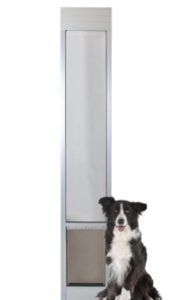 lot 62855 image: PETSAFE DOOR