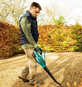 lot 582 image: KIMO cordless leaf blower