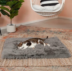 lot 230 image: Furhaven Pet Beds for Cats and Small Dogs - Foldable Pet Tent, Cozy Cave-Bear Cat Bed with Plush Ball Toy, Self-Warming Convertible Cuddler Bed - Multiple Colors, Styles, and Sizes