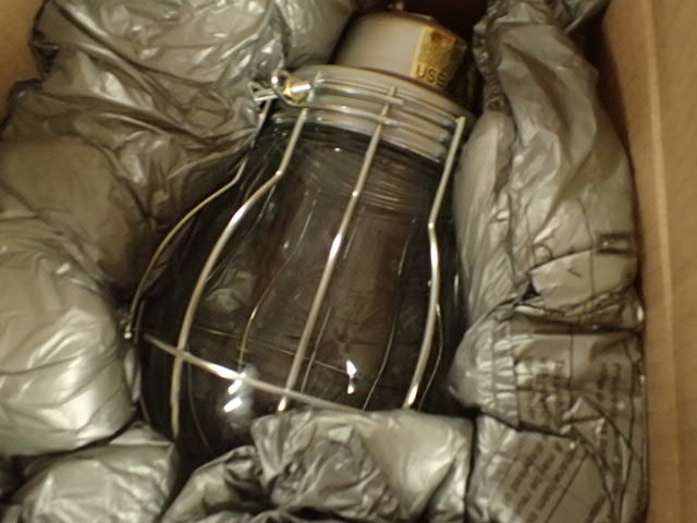 lot 1162 image: Cage Protected Light