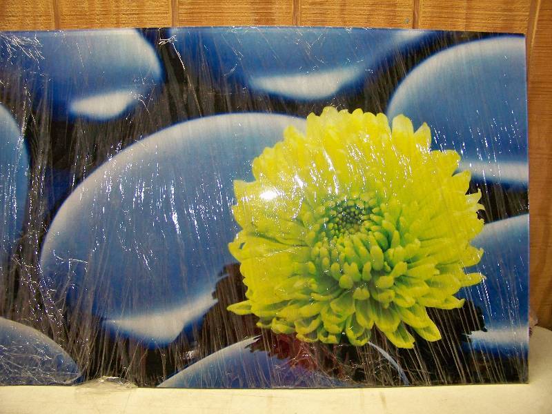 lot 668 image: Art Print on Plexiglass