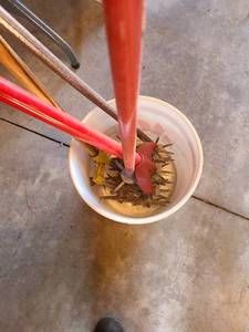 lot 1054 image: Bucket with garden weasels