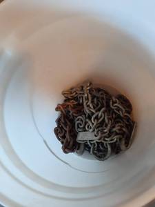 lot 1408 image: Chain in 5 gallon bucket