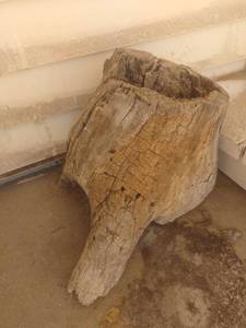 lot 3006 image: Driftwood decor