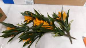 lot 16716 image: 6 Nearly Natural flowers