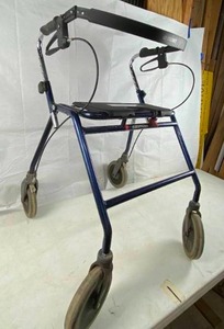 lot 6110 image: Dolomite Walker  Maxi 650 with Seat