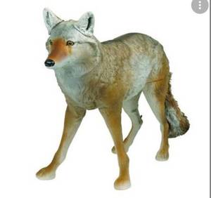 lot 9032 image: Lone Howler Coyote Decoy 36 x 33