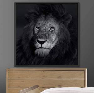 lot 20049 image: bestdeal depot Expressive Lion Framed Canvas Wall Art Prints for Living Room,Bedroom Framed Artwork Decoration Ready to Hang - 24x24 inches