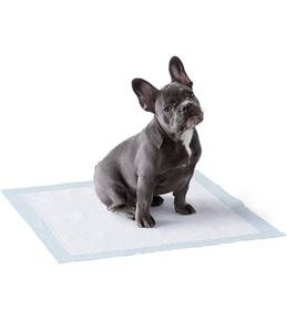 lot 17043 image: Amazonbasics Dog Puppy Pee Training Pads Regular Absorbency - 150 Pack