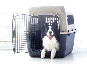 lot 18034 image: Petmate Dog Kennel - No Door-  AS IS