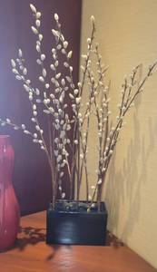 lot 67 image: Pussywillow Faux Plant W a Framed Leaf  Water Droplets Print