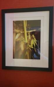 lot 106 image: Framed Bamboo Print by Janet Van Arsdale