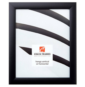 lot 49364 image: Craig Frames Inc 12.75 x 15.75