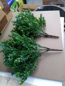 lot 49371 image: COMMON BOX PLANT, FAKE PLANTS