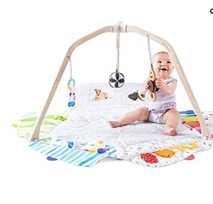 lot 49422 image: The Play Gym by Lovevery  Stage-Based Developmental Activity Gym & Play Mat