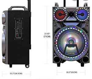 lot 49461 image: StarQueen 10 Party Speaker
