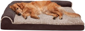lot 8434 image: 36x34 Brown Large Dog Bed