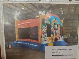 lot 9306 image: Inflatable with 1 Pump
