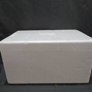 lot 38223 image: POLAR TECH FOAM COOLER