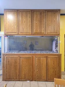 lot 6123 image: Wooden Incased Fish Tank