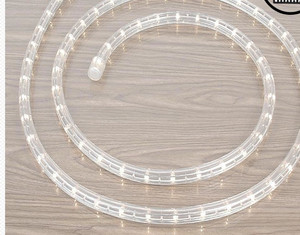 lot 52455 image: OutdoorIndoor 5Ft Led Rope Light
