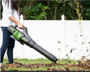 lot 51476 image: Greenworks PRO Cordless Handheld Leaf Blower