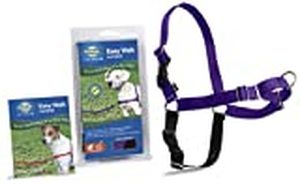 lot 2017 image: PetSafe Easy Walk Dog Harness, SmallMedium, Deep PurpleBlack