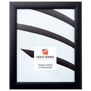 lot 1927 image: Craig Frames 17 Picture Frame Black
