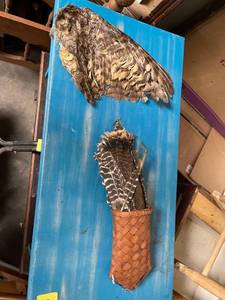 lot 60480 image: feathers and wing