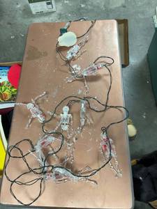 lot 60577 image: skeleton lights