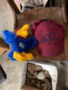lot 60617 image: ku lot