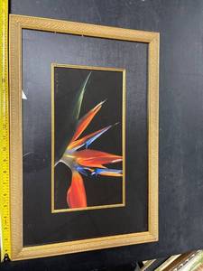 lot 60636 image: flower picture