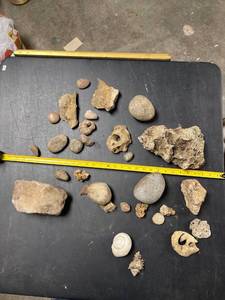 lot 60649 image: decorative rocks and shells