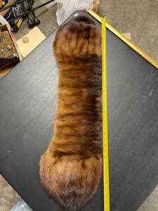 lot 60675 image: old fur collar