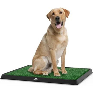 lot 2501 image: pet toilet parent (large)