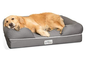 lot 51827 image: PetFusion Ultimate Orthopedic Dog Bed, Solid CertiPUR-US Memory Foam