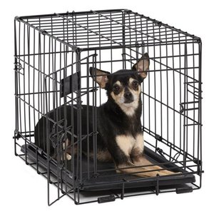 lot 52667 image: MidWest Double Door iCrate Metal Dog Crate, 18,fits Toy size dog
