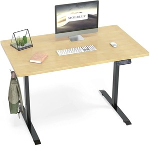 lot 2660 image: MOLBLLY 48 Home Office Desk Bamboo
