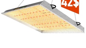 lot 2689 image: MarsHydro Grow Light 14x13