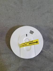 lot 69127 image: FIREX IONIZATION SMOKE ALARM