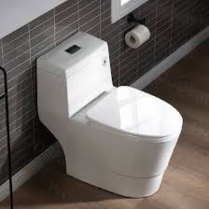 lot 3517 image: Woodbridge Everette White Dual Flush Elongated Standard Height WaterSense Toilet 12-in Rough-In Size
