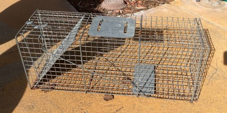 lot 2032 image: Large Animal Cage Trap
