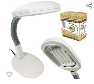 lot 5285 image: Natural Sunlight Desk Lamp, by Lavish Home