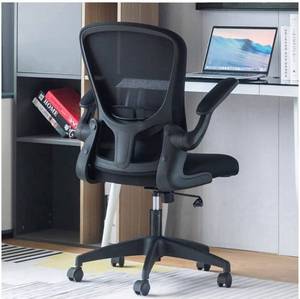lot 20234 image: Sytas Office Chair Ergonomic Desk Chair Computer Task Mesh Chair with Flip-up Arms Lumbar Support and Adjustable Height��Black