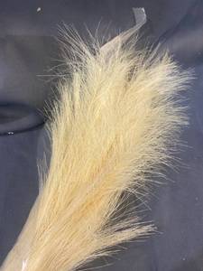 lot 20329 image: PERFNIQUE FAUX PAMPAS GRASS