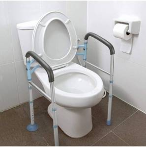lot 20893 image: OASIS SPACE TOILET SAFETY RAIL
