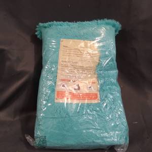 lot 24098 image: TEAL FUZZY PILLOW