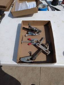 lot 176 image: flat of mixed pullers